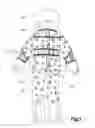 Fig. 06 - Figurine with selectable audio and visual perception