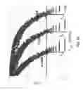 Fig. 56 - System and method for managing inter-cluster handoff of clients which traverse multiple DIDO clusters