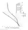 Fig. 58 - System and method for managing inter-cluster handoff of clients which traverse multiple DIDO clusters