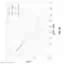 Fig. 59 - System and method for managing inter-cluster handoff of clients which traverse multiple DIDO clusters