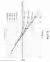 Fig. 112 - Interference management, handoff, power control and link adaptation in distributed-input distributed-output (DIDO) communication systems