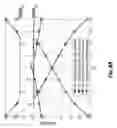 Fig. 89 - Interference management, handoff, power control and link adaptation in distributed-input distributed-output (DIDO) communication systems