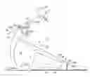 Fig. 01 - Strengthening device for leg muscles