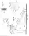 Fig. 08 - Strengthening device for leg muscles