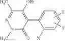 Fig. 06 - HERBICIDALLY AND INSECTICIDALLY ACTIVE PHENYL-SUBSTITUTED PYRIDAZINONES