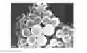Fig. 01 - Method for preparation of aqueous emulsion using interfacially active organic compound as emulsifying agent