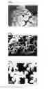 Fig. 02 - Method for preparation of aqueous emulsion using interfacially active organic compound as emulsifying agent