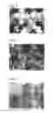 Fig. 03 - Method for preparation of aqueous emulsion using interfacially active organic compound as emulsifying agent