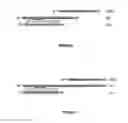 Fig. 04 - Method for generating and screening an antibody library