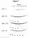 Fig. 06 - Methods, Kits and Compositions for the Identification of Nucleic Acids Electrostatically Bound to Matrices