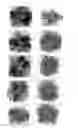Fig. 02 - Rifle bore cleaning composition