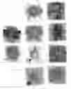 Fig. 03 - Rifle bore cleaning composition