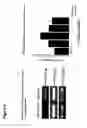 Fig. 06 - STEM CELL DERIVED FACTORS FOR TREATING PATHOLOGIC CONDITIONS