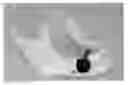 Fig. 01 - GRANULATE-MATRIX