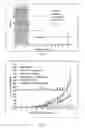 Fig. 06 - Peptide-conjugated oligonucleotide therapeutic and method of making and using same