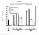 Fig. 07 - COMPOUNDS HAVING ANTI-PROLIFERATIVE PROPERTIES