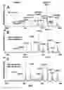 Fig. 07 - Composition and method for promoting survival of aged basal forebrain cholinergic neuron leading to provention and treatment of age-related neurodegenerative disorder