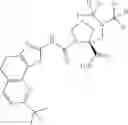 Fig. 69 - 2-carboxamide cycloamino ureas