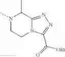 Fig. 49 - PYRAZOLOPYRIMIDINES, A PROCESS FOR THEIR PREPARATION AND THEIR USE AS MEDICINE