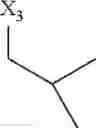 Fig. 1069 - HIV protease inhibiting compounds