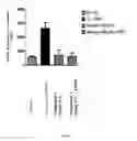 Fig. 07 - Prodrugs of NH-acidic compounds