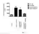 Fig. 08 - Prodrugs of NH-acidic compounds