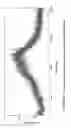 Fig. 02 - POLYMORPH AND AMORPHOUS FORM OF (S)-(+)-CLOPIDOGREL BISULFATE