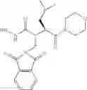 Fig. 05 - Metalloproteinase Inhibitors