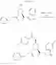Fig. 23 - 2-(1H-indol-3-ylmethyl)-pyrrolidine dimer as a SMAC mimetic