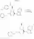 Fig. 24 - 2-(1H-indol-3-ylmethyl)-pyrrolidine dimer as a SMAC mimetic