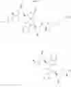 Fig. 30 - 2-(1H-indol-3-ylmethyl)-pyrrolidine dimer as a SMAC mimetic