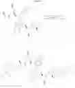 Fig. 35 - 2-(1H-indol-3-ylmethyl)-pyrrolidine dimer as a SMAC mimetic