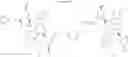 Fig. 41 - 2-(1H-indol-3-ylmethyl)-pyrrolidine dimer as a SMAC mimetic