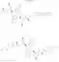 Fig. 47 - 2-(1H-indol-3-ylmethyl)-pyrrolidine dimer as a SMAC mimetic