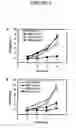 Fig. 03 - Antisense oligonucleotides targeted to the coding region of thymidylate synthase and uses thereof