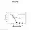 Fig. 04 - Antisense oligonucleotides targeted to the coding region of thymidylate synthase and uses thereof
