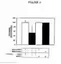 Fig. 05 - Antisense oligonucleotides targeted to the coding region of thymidylate synthase and uses thereof