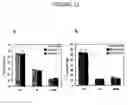 Fig. 13 - Antisense oligonucleotides targeted to the coding region of thymidylate synthase and uses thereof