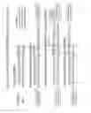 Fig. 02 - Single stranded extended dicer substrate agents and methods for the specific inhibition of gene expression