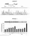 Fig. 06 - ALLOSTERIC TRANS-SPLICING GROUP I RIBOZYME WHOSE ACTIVITY OF TARGET-SPECIFIC RNA REPLACEMENT IS CONTROLLED BY THEOPHYLLINE