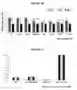 Fig. 07 - ALLOSTERIC TRANS-SPLICING GROUP I RIBOZYME WHOSE ACTIVITY OF TARGET-SPECIFIC RNA REPLACEMENT IS CONTROLLED BY THEOPHYLLINE