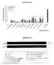 Fig. 08 - ALLOSTERIC TRANS-SPLICING GROUP I RIBOZYME WHOSE ACTIVITY OF TARGET-SPECIFIC RNA REPLACEMENT IS CONTROLLED BY THEOPHYLLINE