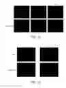 Fig. 11 - Membrane fusion inhibitor