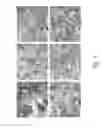 Fig. 02 - METHODS OF ENGINEERING POLAR DRUG PARTICLES WITH SURFACE-TRAPPED HYDROFLUOROALKANE-PHILES