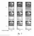 Fig. 07 - METHODS OF ENGINEERING POLAR DRUG PARTICLES WITH SURFACE-TRAPPED HYDROFLUOROALKANE-PHILES