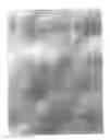 Fig. 01 - Lightweight concrete compositions