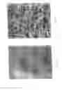 Fig. 03 - Lightweight concrete compositions