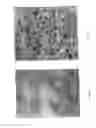 Fig. 04 - Lightweight concrete compositions