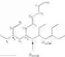 Fig. 07 - Compositions of 1-butene based polymers
