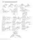Fig. 02 - Coordination complex system comprising tautomeric ligands